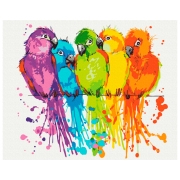 Pictură pe numere BrushMe Papagali colorati 50 x 40 cm, P&acirc;nză