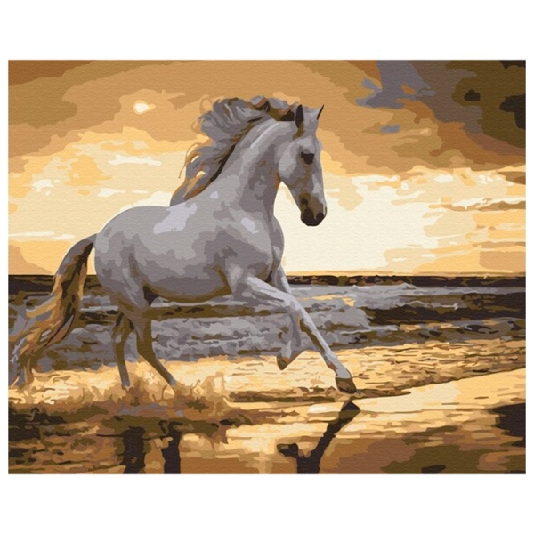 Pictură pe numere BrushMe Trapând pe coastă 50 x 40 cm, P&acirc;nză photo 1