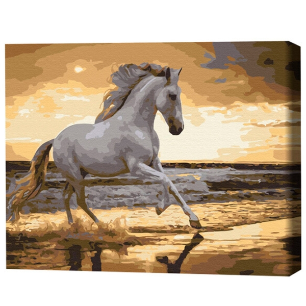 Pictură pe numere BrushMe Trapând pe coastă 50 x 40 cm, P&acirc;nză photo 3