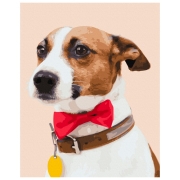 Pictură pe numere BrushMe Câine campion 50 x 40 cm, P&acirc;nză