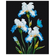 Pictură pe numere BrushMe Iriși 50 x 40 cm, P&acirc;nză