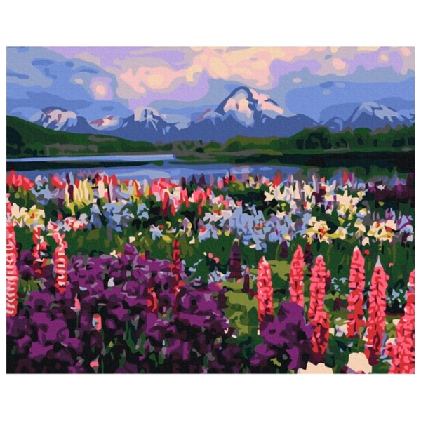 Pictură pe numere BrushMe Valea florilor de câmp 50 x 40 cm, P&acirc;nză photo 1