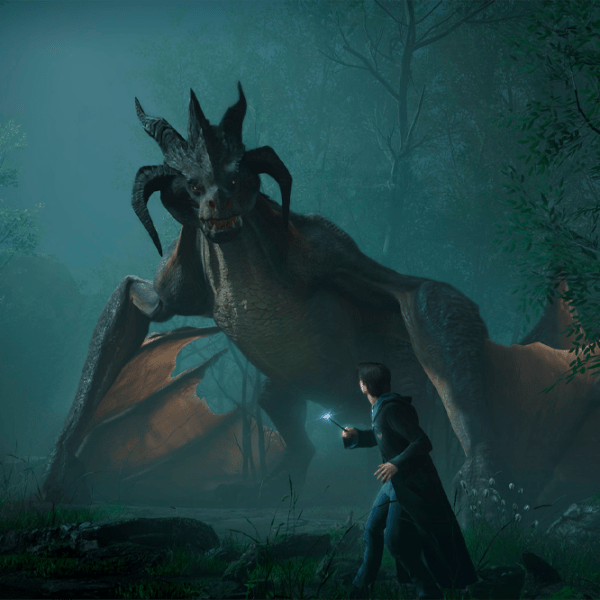 Hogwarts Legacy Nintendo Switch Action / 12+ photo 5