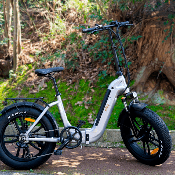 Bicicletă electrică SkyJet RV10 Plus Gray 20" | 250 W | p&acirc;nă la 60 km photo 5