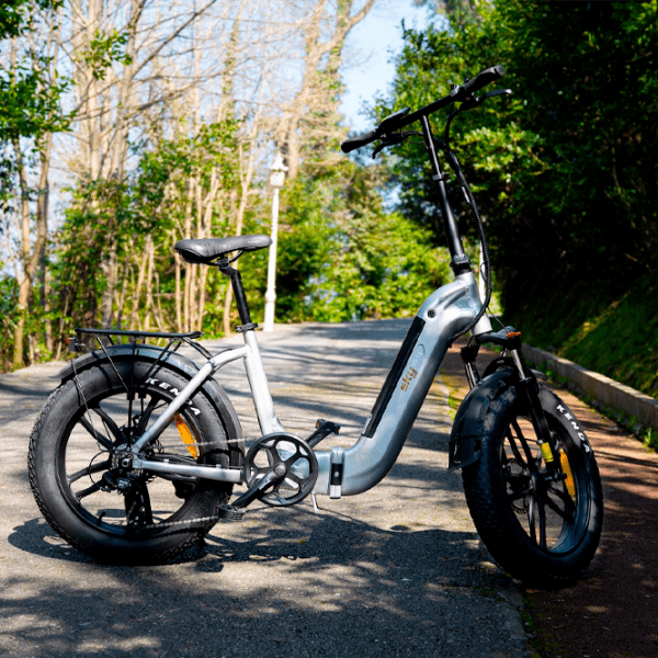 Bicicletă electrică SkyJet RV10 Plus Gray 20" | 250 W | p&acirc;nă la 60 km photo 6