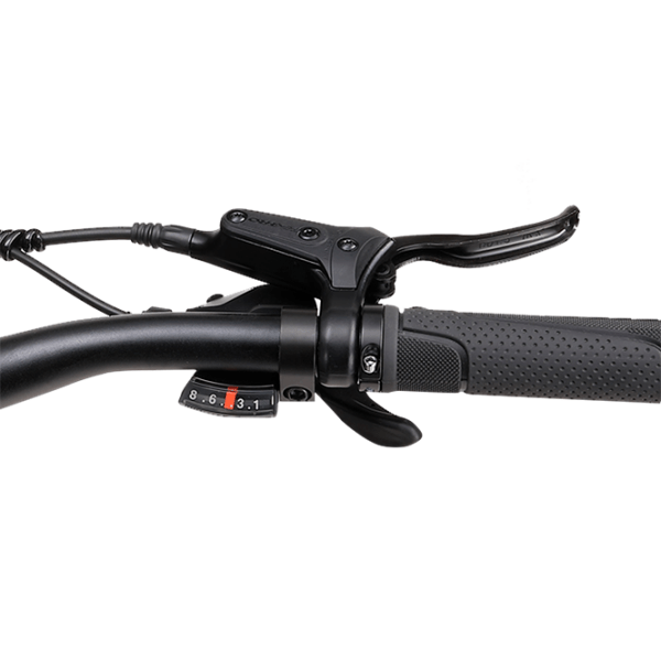 Bicicletă electrică ApeRyder Buffalo-E Gray 27.5" | 250 W | p&acirc;nă la 80 km photo 4