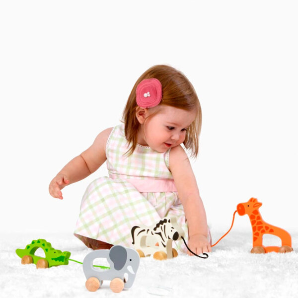 Игрушка каталка Hape E0908A Серый 1+ photo 2