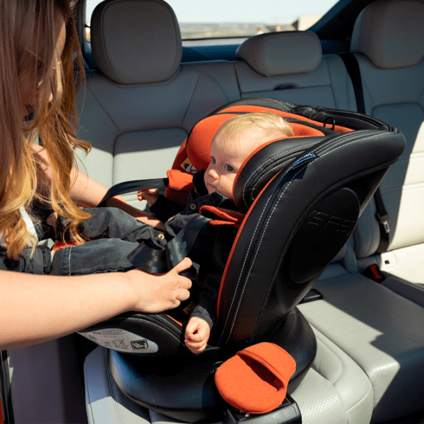 Scaun auto Lorelli Estate Isofix 10071812408 Red 0 luni - 12 ani, 36 kg photo 5