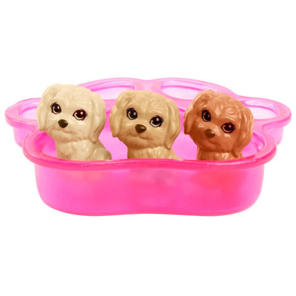 Набор Barbie Newborn Pups модель HCK75  3+ photo 5