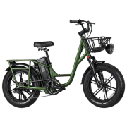 Bicicletă electrică FIIDO T1 Pro Green 20" | 750 W | p&acirc;nă la 150 km