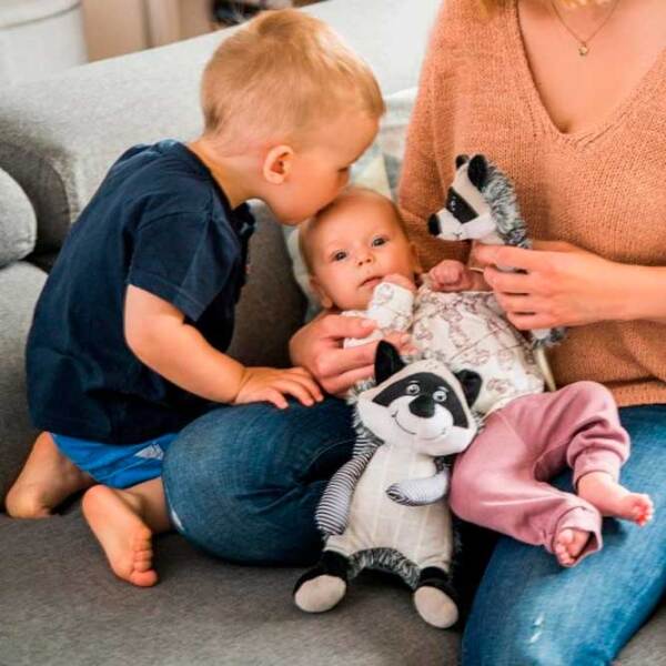 Мягкая игрушка BabyOno Racoon Rocky 745 Черный 0+ photo 4