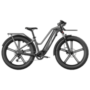 Bicicletă electrică FIIDO M25 Black 26" | 750 W | p&acirc;nă la 130 km