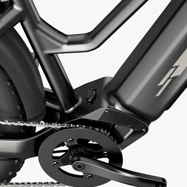 Bicicletă electrică FIIDO M25 Black 26" | 750 W | p&acirc;nă la 130 km photo 2