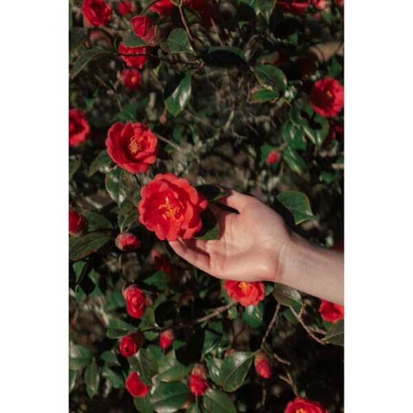Фотобумага для Hi-Print Generation 2 (20шт.) Белый Глянец photo 4