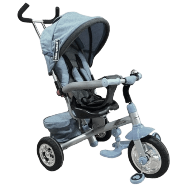 Triciclu Alexis UR-ET-B30-3 Gray Metal/ Pentru copii photo 1