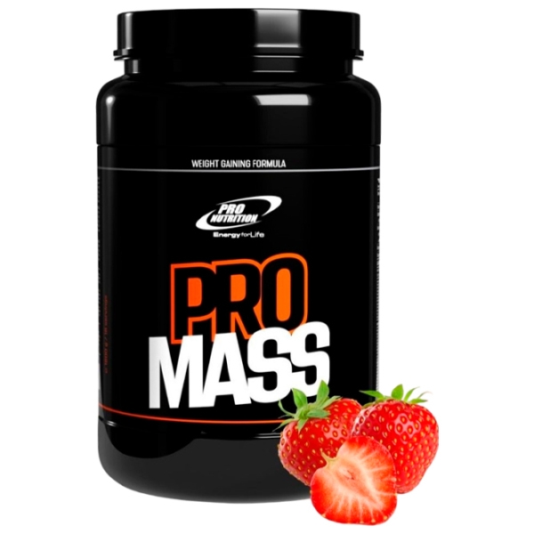 Gainer Pro Nutrition Pro Mass (pn0151) 1600 g photo 1