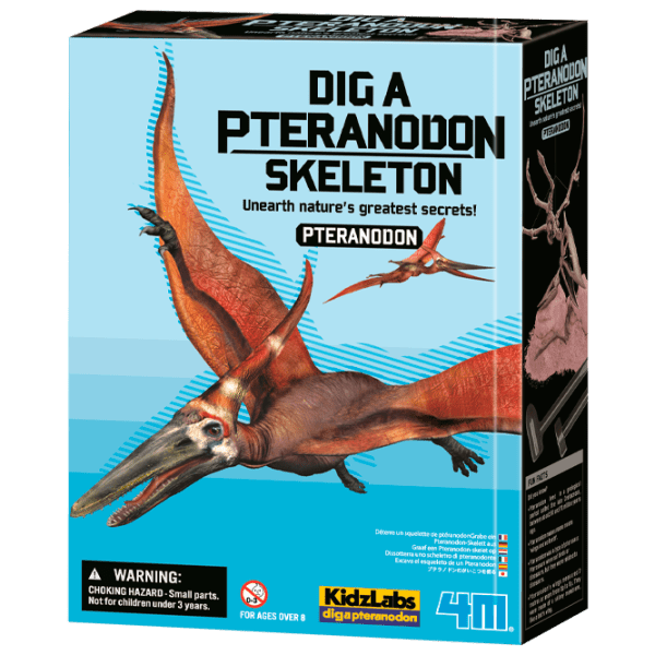 Set de creație 4M KidzLabs Dig a Pteranodon skeleton 03459 Multicolor Pentru copii, 3+ photo 1