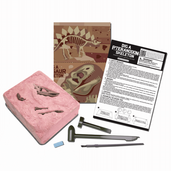 Set de creație 4M KidzLabs Dig a Pteranodon skeleton 03459 Multicolor Pentru copii, 3+ photo 2