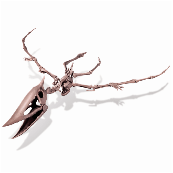 Set de creație 4M KidzLabs Dig a Pteranodon skeleton 03459 Multicolor Pentru copii, 3+ photo 4