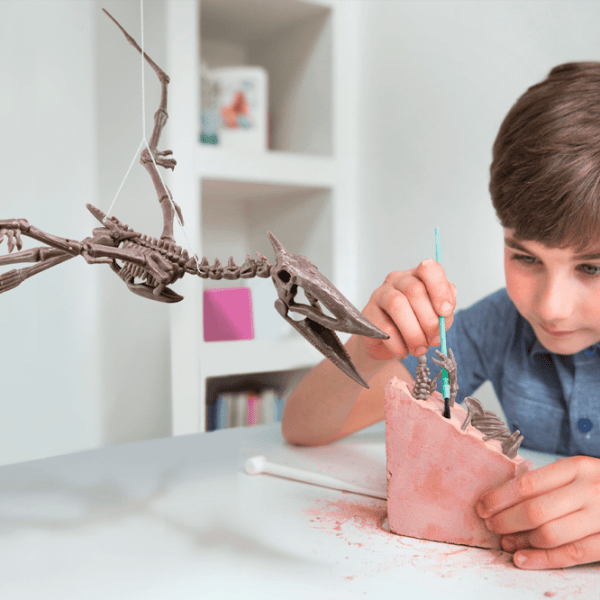 Set de creație 4M KidzLabs Dig a Pteranodon skeleton 03459 Multicolor Pentru copii, 3+ photo 6