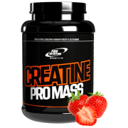 Gainer Pro Nutrition Creatine Pro Mass (6421766041238) 3000 g