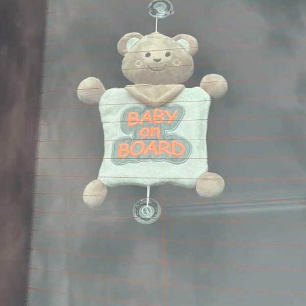 Мягкая игрушка BabyJem Animals Baby On Board Коричневый 0+ photo 2