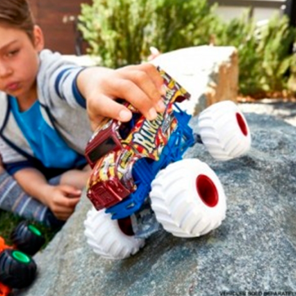 Машинка Mattel Monster Trucks FYJ83 Разноцветный  photo 7