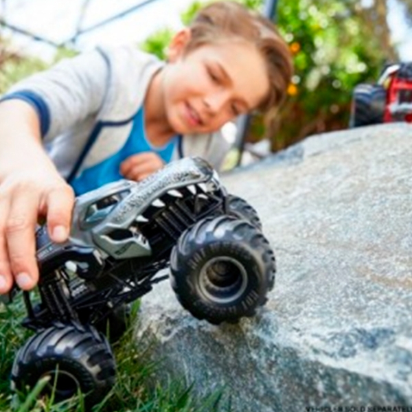 Машинка Mattel Monster Trucks FYJ83 Разноцветный  photo 8