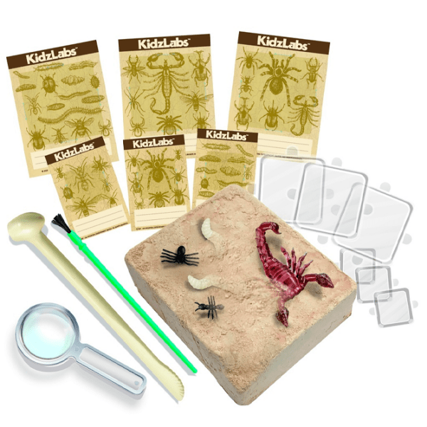 Set de creație 4M KidzLabs Creepy Crawly Digging Kit 00-03397 Multicolor Pentru copii, 5+ photo 2
