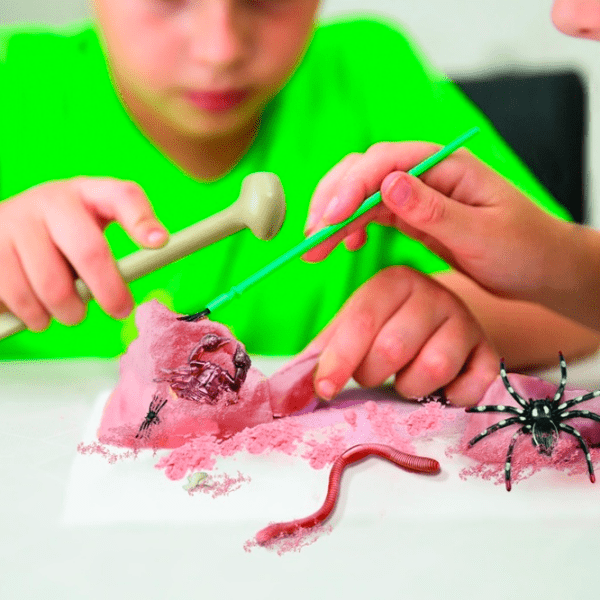 Set de creație 4M KidzLabs Creepy Crawly Digging Kit 00-03397 Multicolor Pentru copii, 5+ photo 5