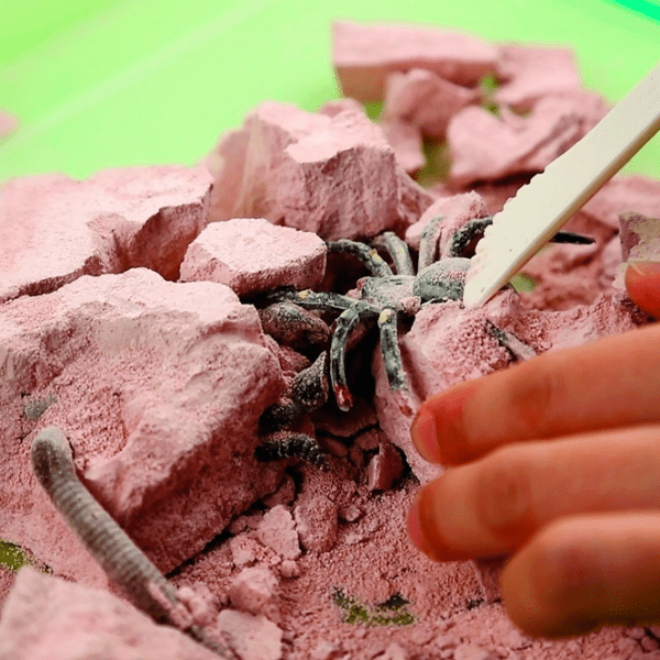 Set de creație 4M KidzLabs Creepy Crawly Digging Kit 00-03397 Multicolor Pentru copii, 5+ photo 7