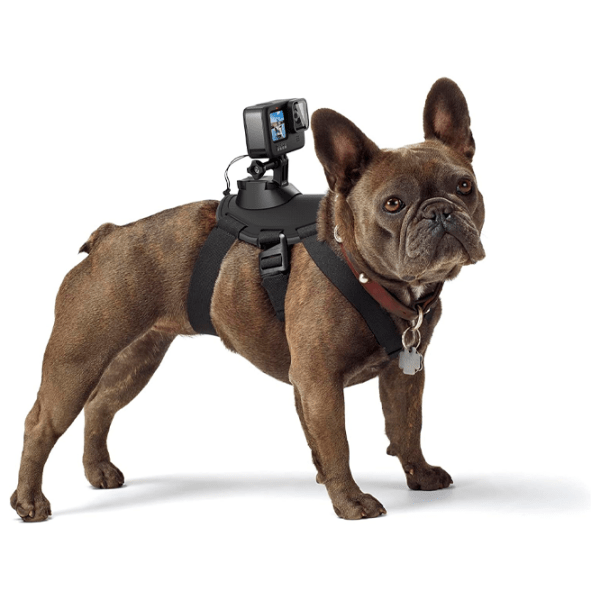 Fixator GoPro ADOGM 001 Black  photo 2