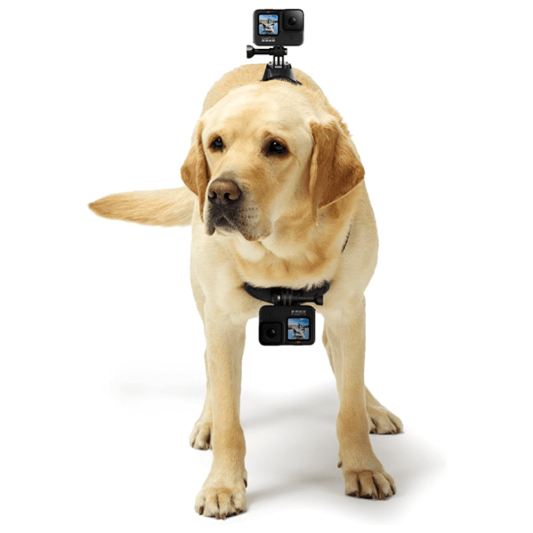 Fixator GoPro ADOGM 001 Black  photo 3