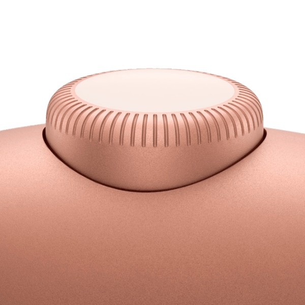 Наушники Apple AirPods Max with Type-C Оранжевый Беспроводные / Персональный / Полноразмерные photo 5