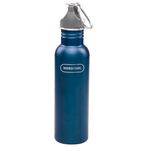 Бутылка для воды Dometic Mobicool Stainless Blue 700 мл photo 1