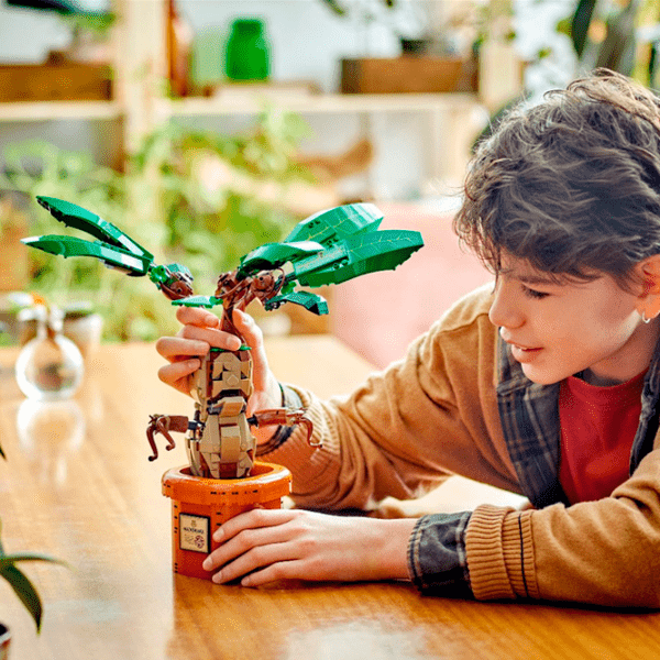 Constructor LEGO Mandrake Green Numărul de piese 579, 10+ photo 6