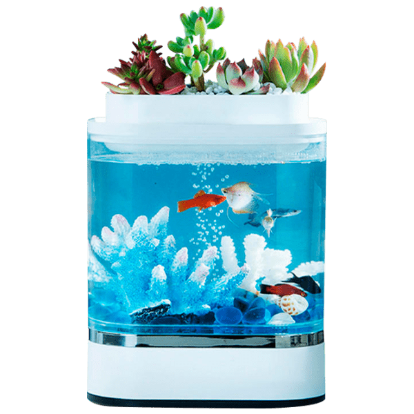 Аквариум Xiaomi Geometry Mini Fish Белый 1.5 л photo 8