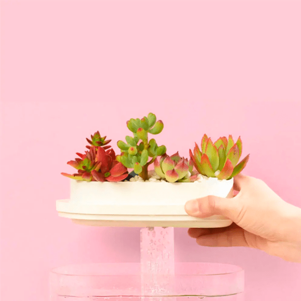 Аквариум Xiaomi Geometry Mini Fish Белый 1.5 л photo 15