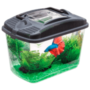 Acvariu Aquael Betta Kit 114563 Transparent 3 l