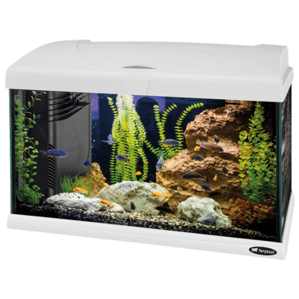 Acvariu Ferplast Capri 50 LED White 60 l photo 1