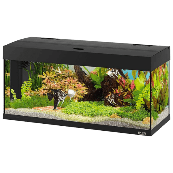 Acvariu Ferplast Dubai 100 Led Black 190 l photo 1