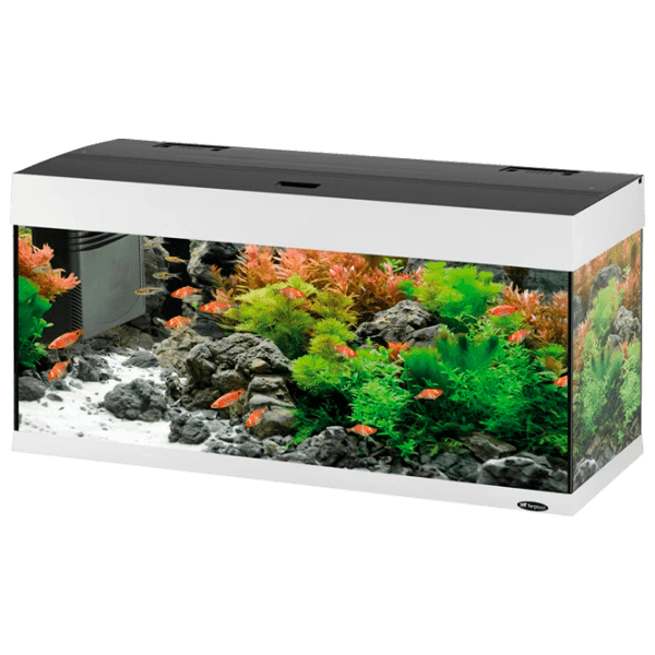 Acvariu Ferplast Dubai 80 Led White 125 l photo 1