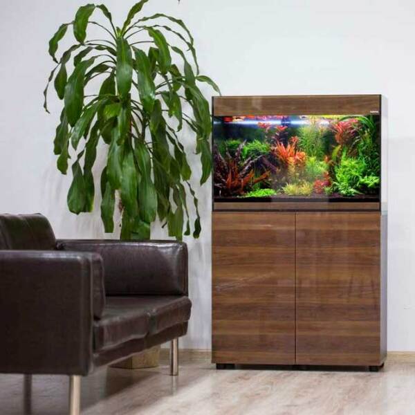 Acvariu Aquael Glossy Walnut Rectangular 114194 Nuc 215 l photo 3