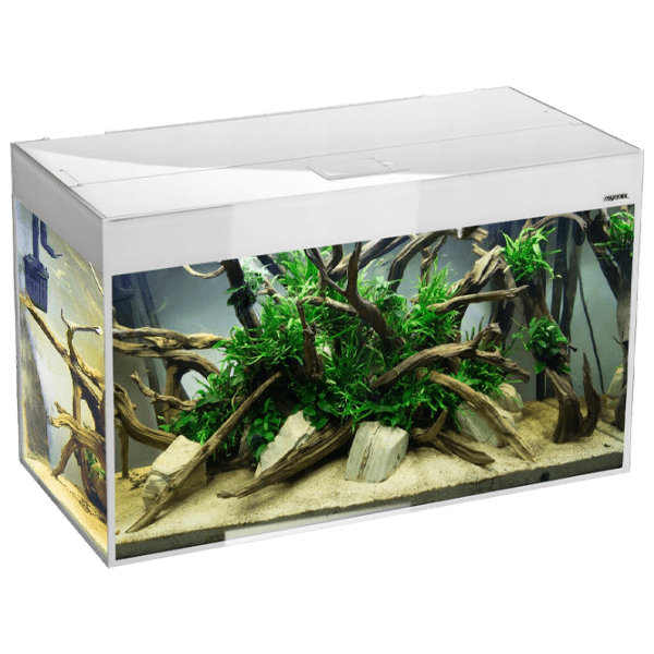 Аквариум Aquael Glossy Rectangular Белый 215 л photo 1