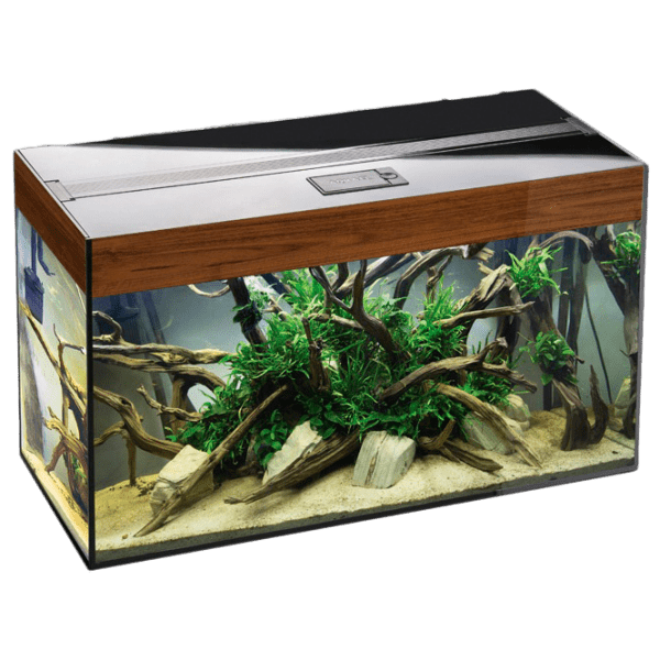 Acvariu Aquael Glossy Rectangular 114194 Nuc 215 l photo 1