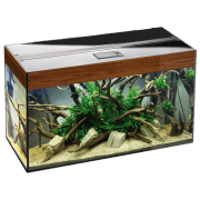 Acvariu Aquael Glossy Rectangular 114194 Nuc 215 l
