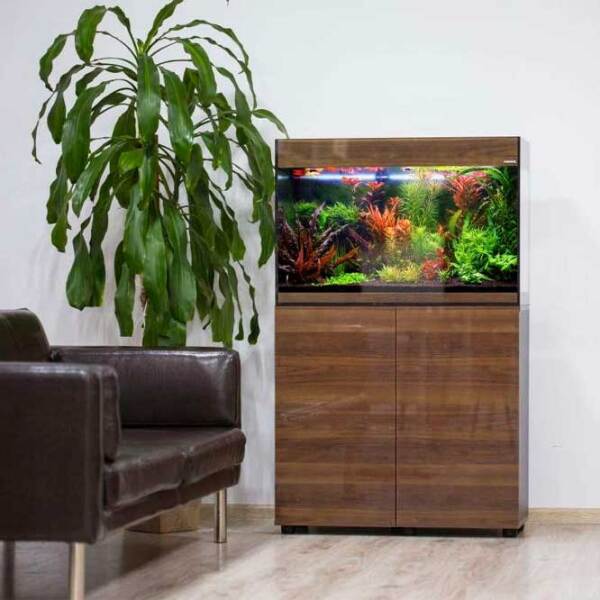 Acvariu Aquael Glossy Rectangular 114194 Nuc 215 l photo 3