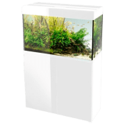 Acvariu Aquael ST 100 D&N White 215 l