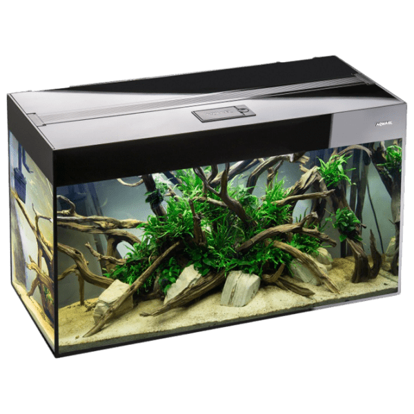 Acvariu Aquael Glossy 112650 Black 260 l photo 1
