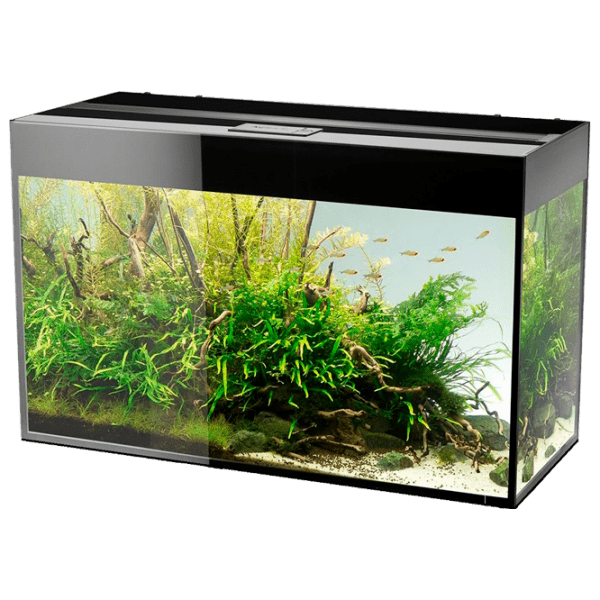 Acvariu Aquael Glossy 112649 Black 215 l photo 1